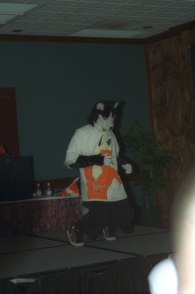 1996 confurence east